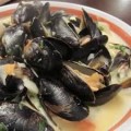 Jpco Mussels